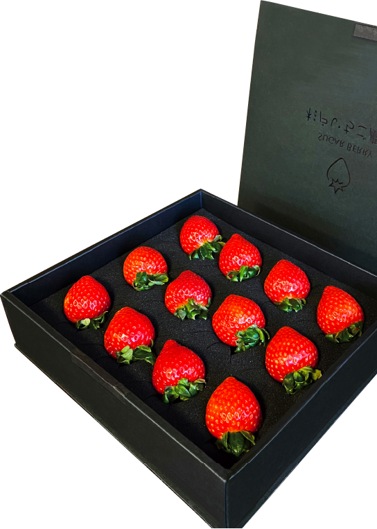 杉戸いちご農園】プレミアムあまりん