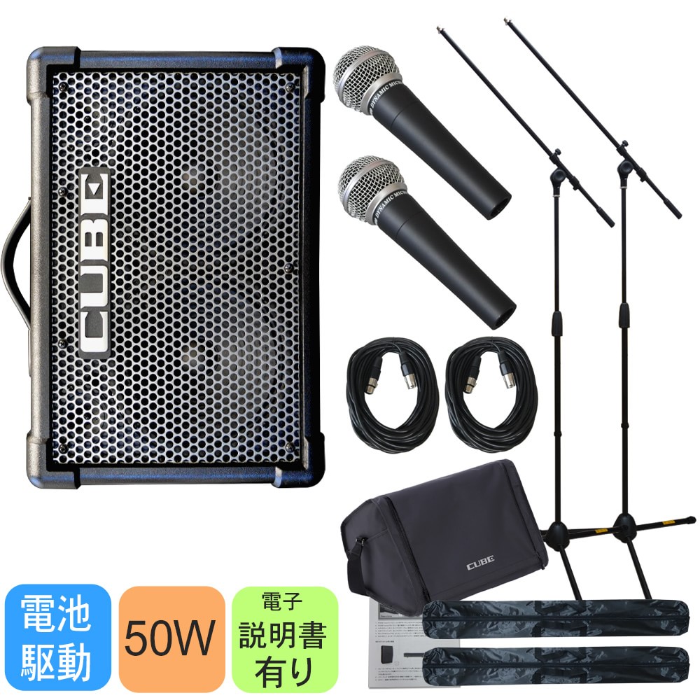 Roland ローランド CUBESTREET EX有線マイク2本セット(ソフトケース
