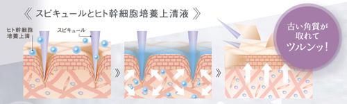 マッコイMcCELLRIE| マクセリー ピケ[スピキュール美容液]