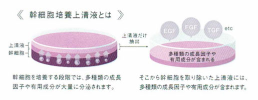 マッコイMcCELLRIE| マクセリー クレンジングジェル[化粧落とし]