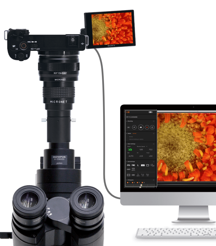 SONY ZV-E10スーパーシステム | マイクロネット