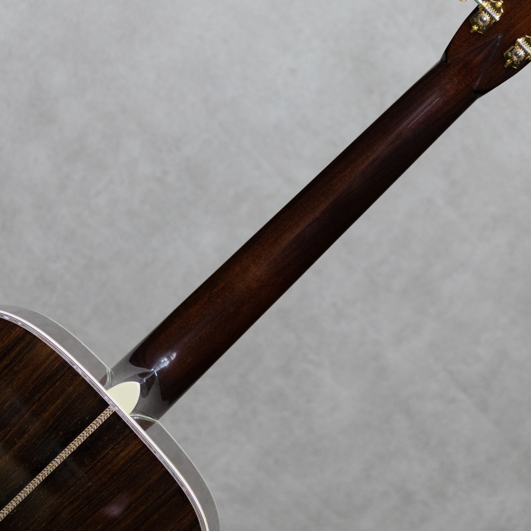 D-28 Standard w/L.R.Baggs Element VTC / 2017: アコースティック