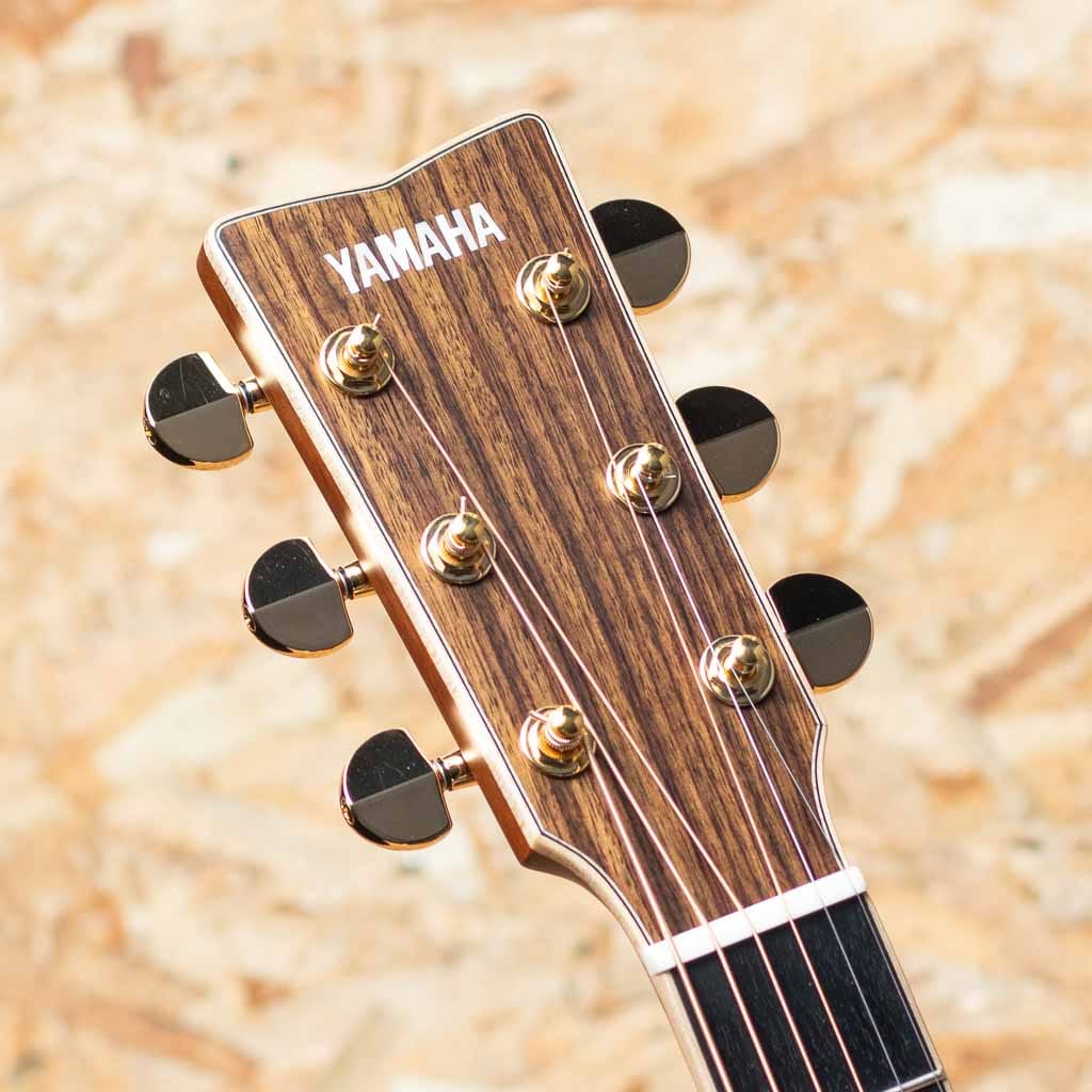 LJ36 ARE 2024: アコースティックギター｜三木楽器公式通販サイト