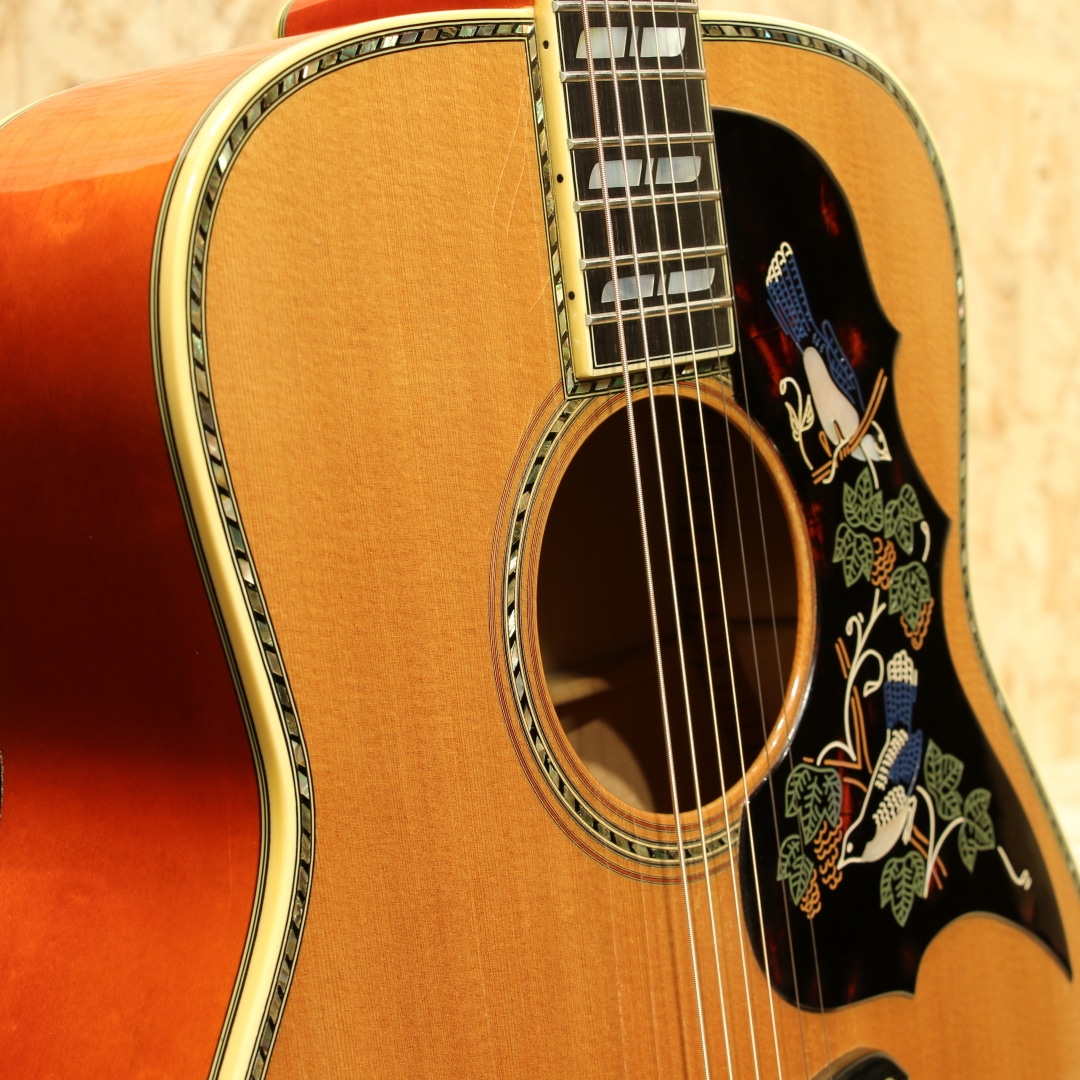 L-54 1978: アコースティックギター｜三木楽器公式通販サイト