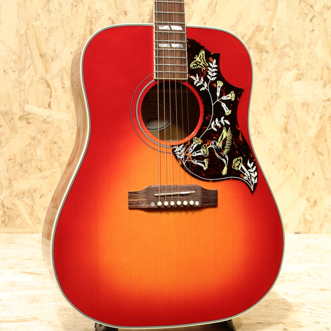 Hummingbird Standard Vintage Cherry Sunburst: アコースティック
