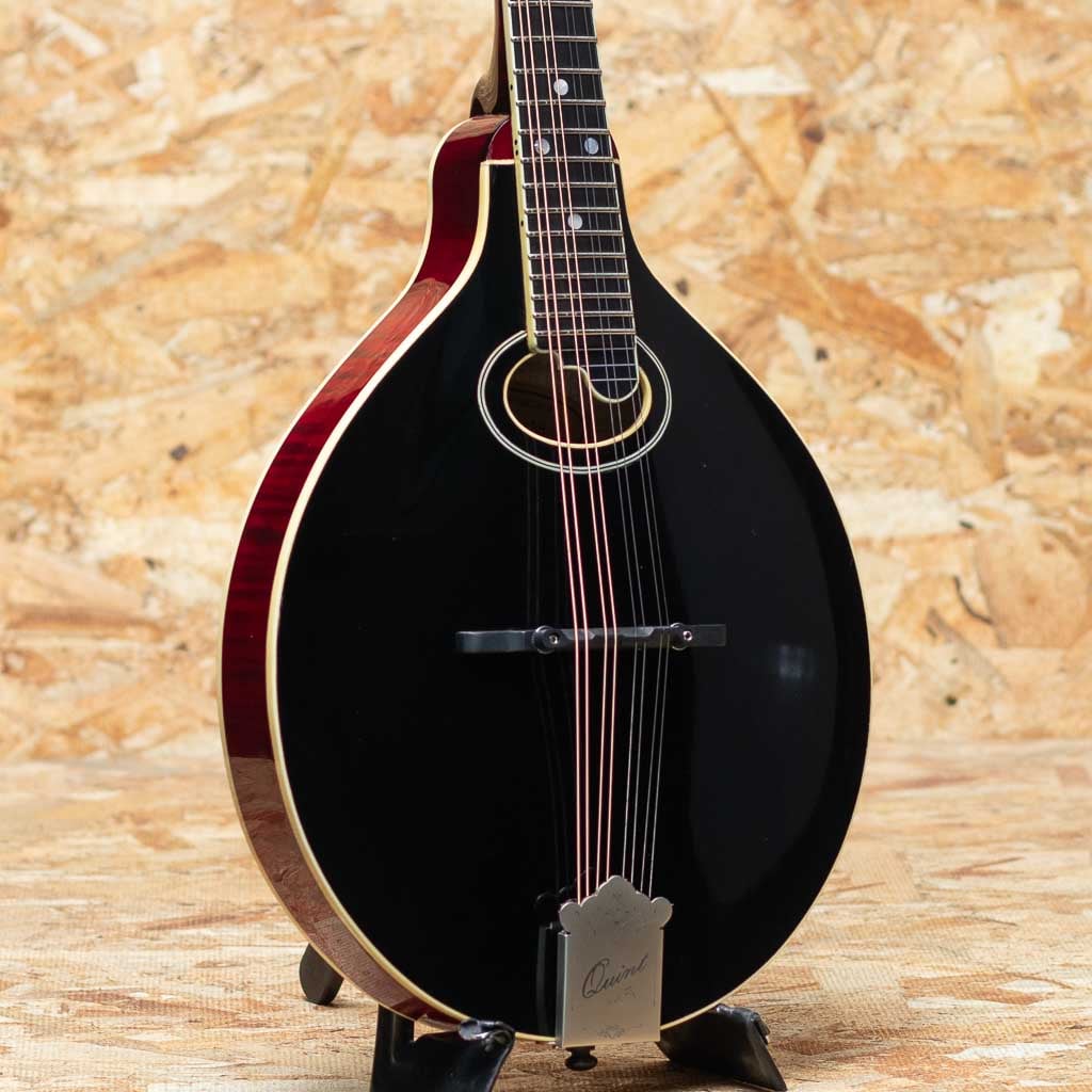 Mandolin（マンドリン）一覧 | | 三木楽器公式通販サイト(2／3ページ)