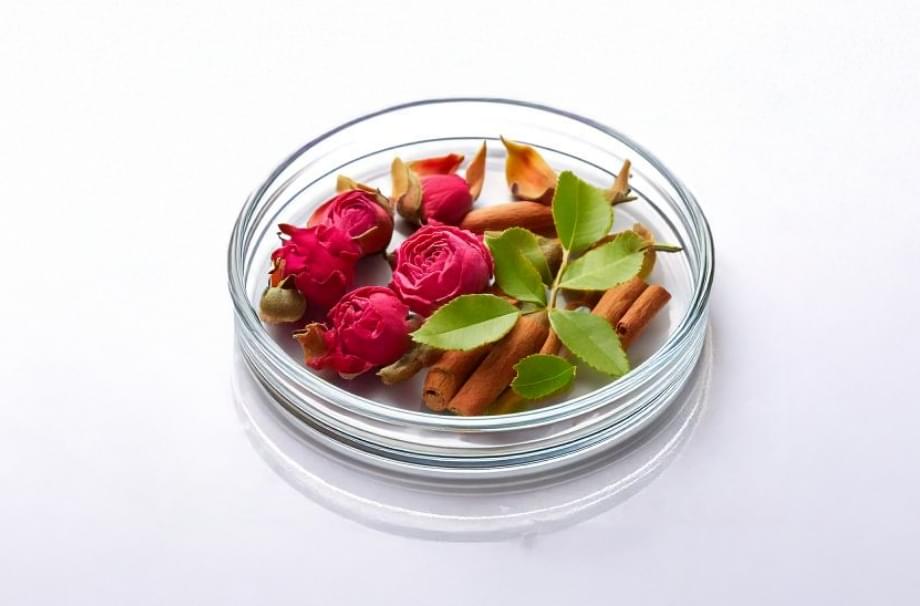 オーデエクラプレミアムリペアエッセンス｜サイタイ血幹細胞順化培養液