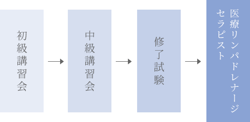 医療リンパドレナージセラピスト養成講習会（2026年度） | 日本医療