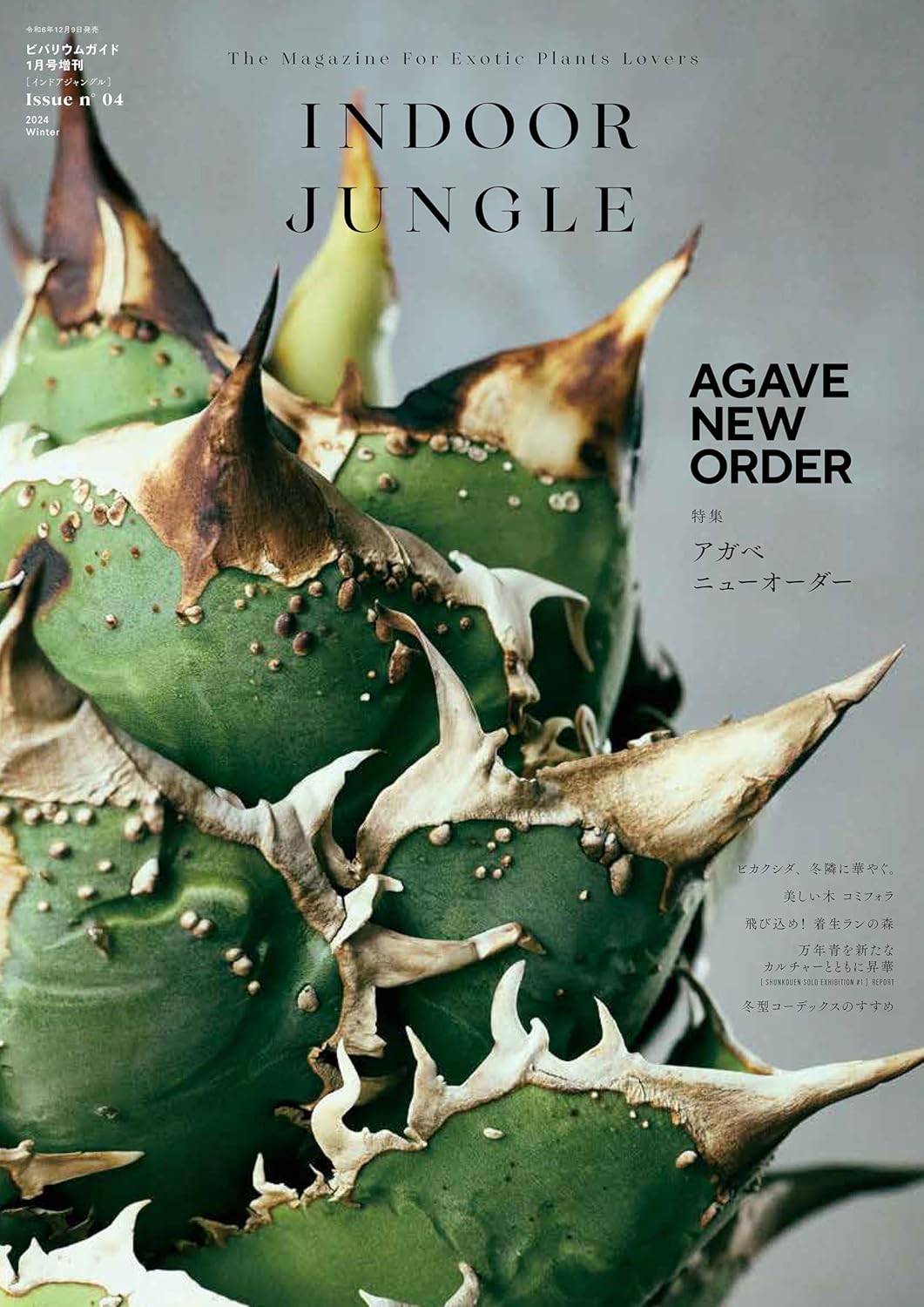 INDOOR JUNGLE Issue.04 ｜ エムピージェー