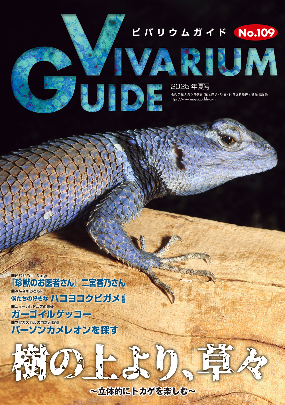 ビバリウムガイド」の記事一覧 ｜ エムピージェー