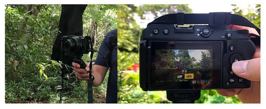 Nikon Z 30実写レビュー！16-50 VRレンズキットで初めての4K動画撮影 2