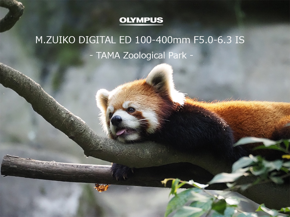 被写体に極限まで寄れる超望遠レンズ OLYMPUS M.ZUIKO DIGITAL ED 100