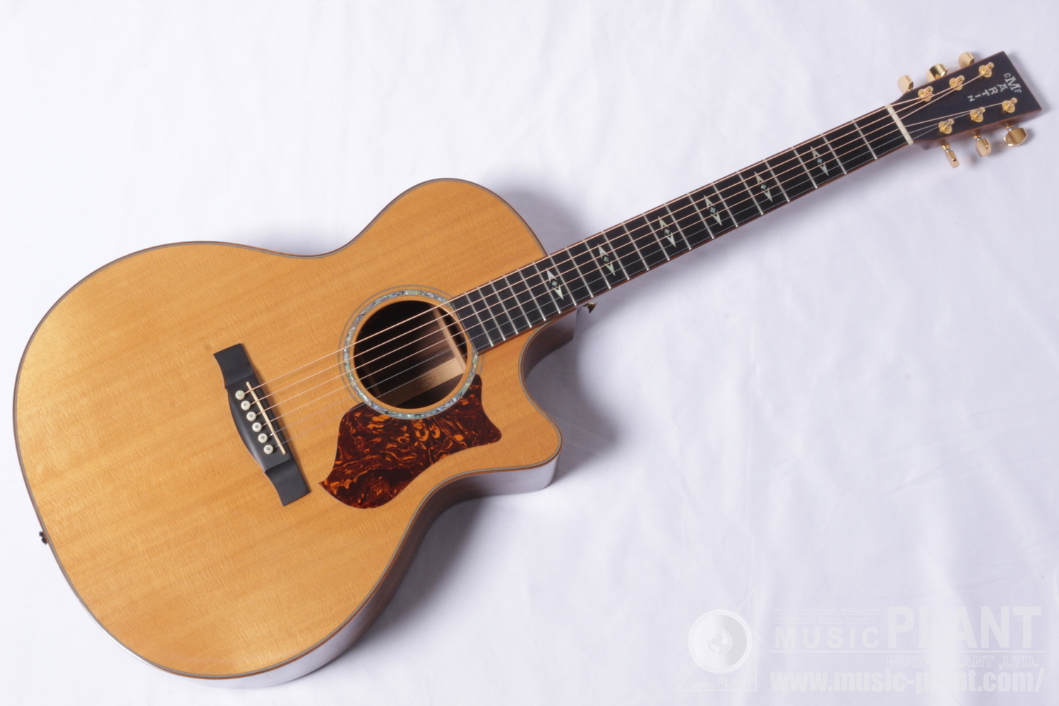 Martin (C.F.Martin) PERFORMING ARTISTシリーズ エレアコGPCPA1中古品