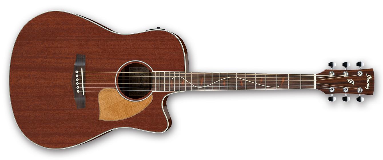 Ibanez Performanceシリーズ エレクトリックアコースティックギター