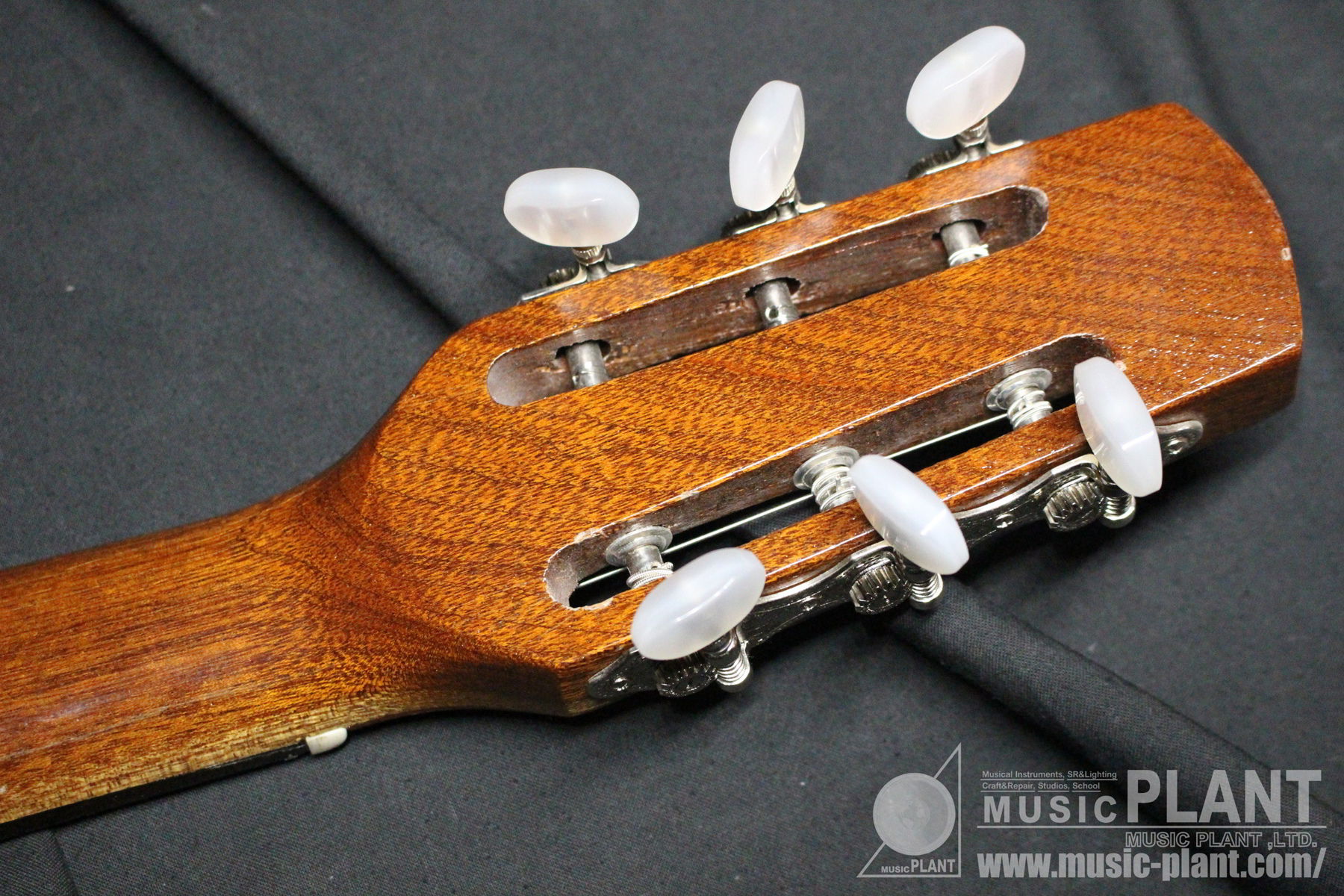 Pierre Fontaine アコースティックギターマカフェリ タイプ中古品在庫