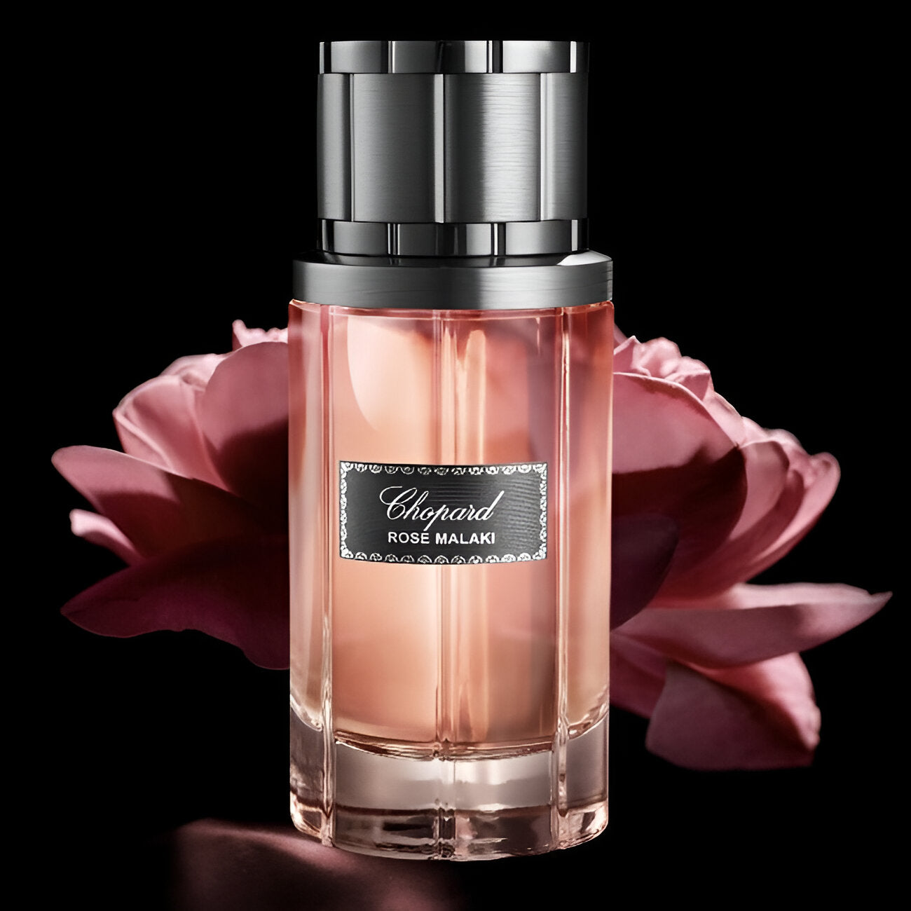 Shop Chopard Rose Malaki EDP in Qatar