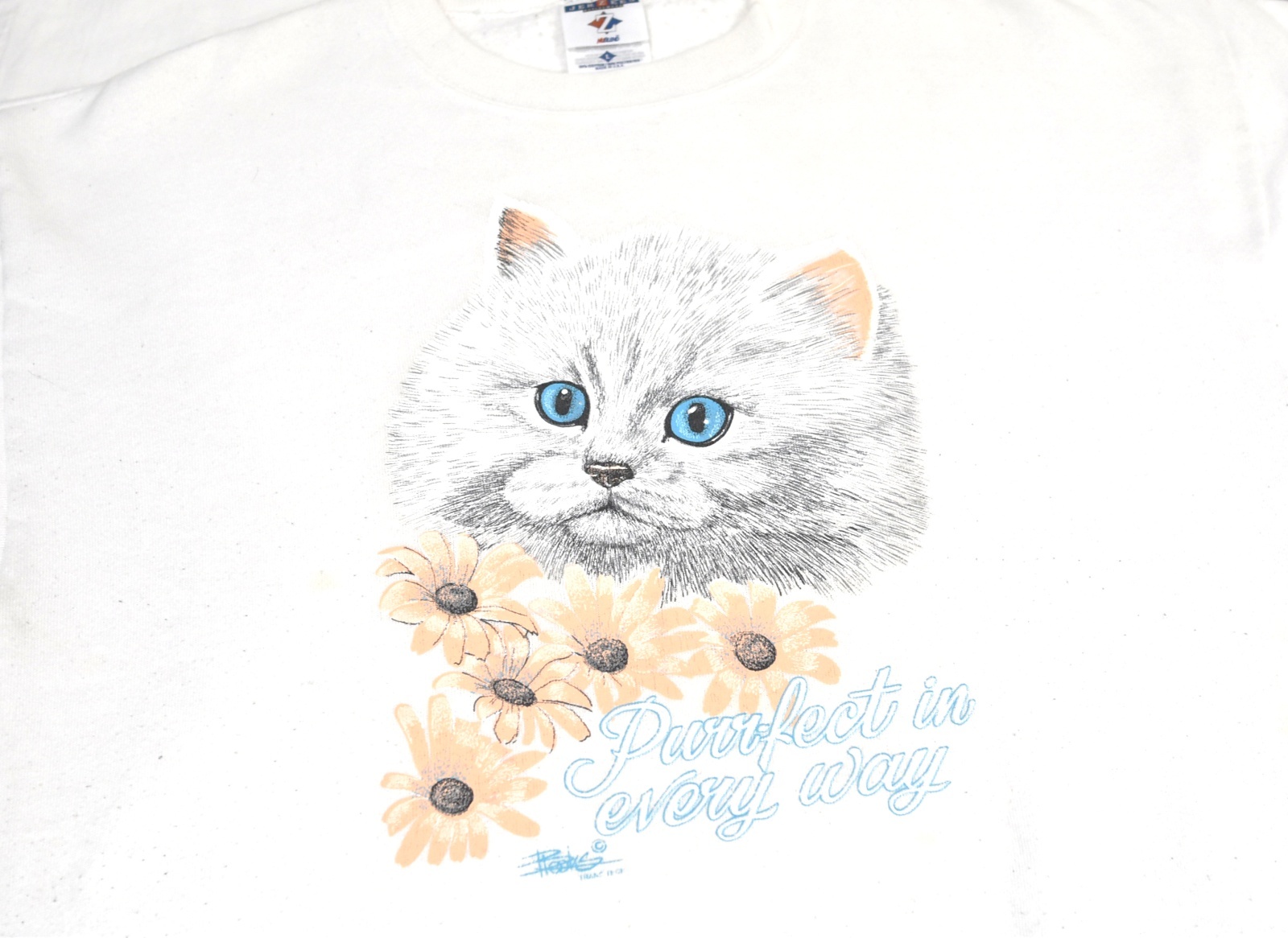 90's【USA製】JERZEES【ビンテージ】【Purrfect in every way】猫と花