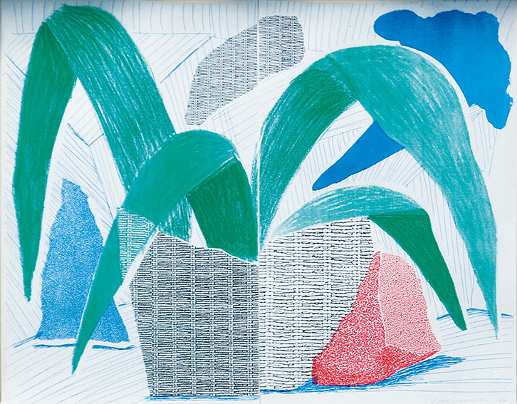 David Hockney / デイヴィッド・ホックニー版画額「緑灰色と青い植物