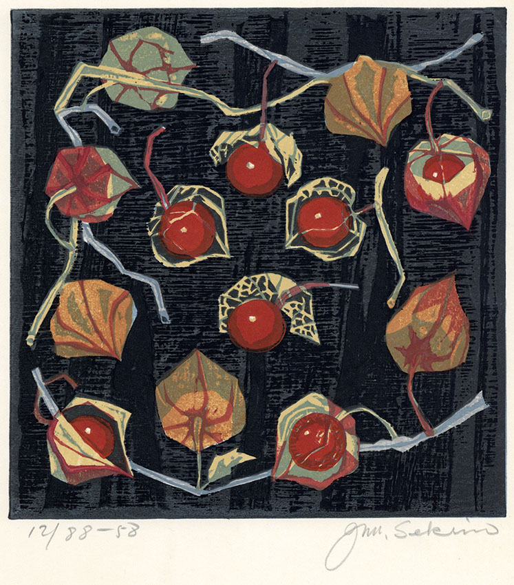 関野準一郎『版画作品集』改訂第2版 1997年発行 昭和の版画家