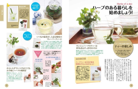 はじめてのハーブ 手入れと育て方 | ナツメ社