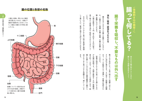 自律神経が整う！身体が生まれ変わる！不腸リセット | ナツメ社