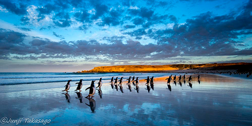 高砂淳二氏より ニコン100周年記念特別展「LIGHT on LIFE」開催の