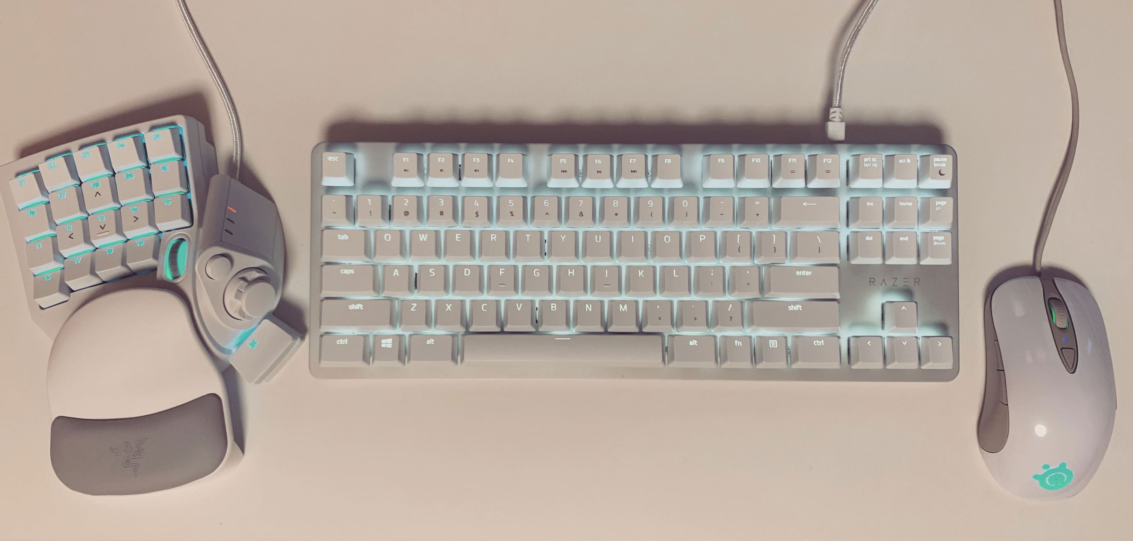 左手ゲーミングキーパッド Razer Tartarus Pro Mercury White を買った