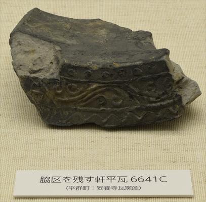 飛鳥の考古学2020」こぼれ話2 ― 藤原宮から見慣れない瓦が…その2