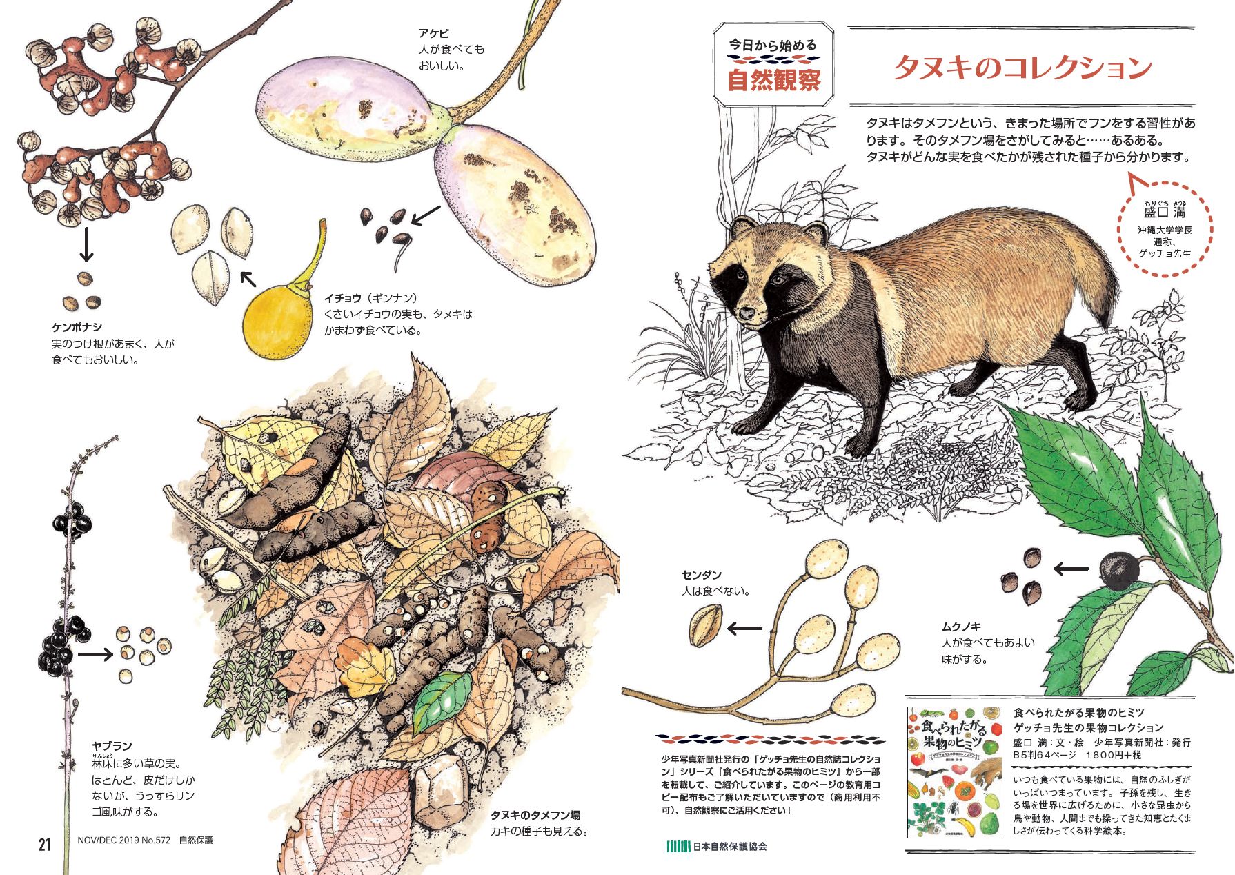 タヌキのコレクション【今日からはじめる自然観察】 | 知ろう、自然の