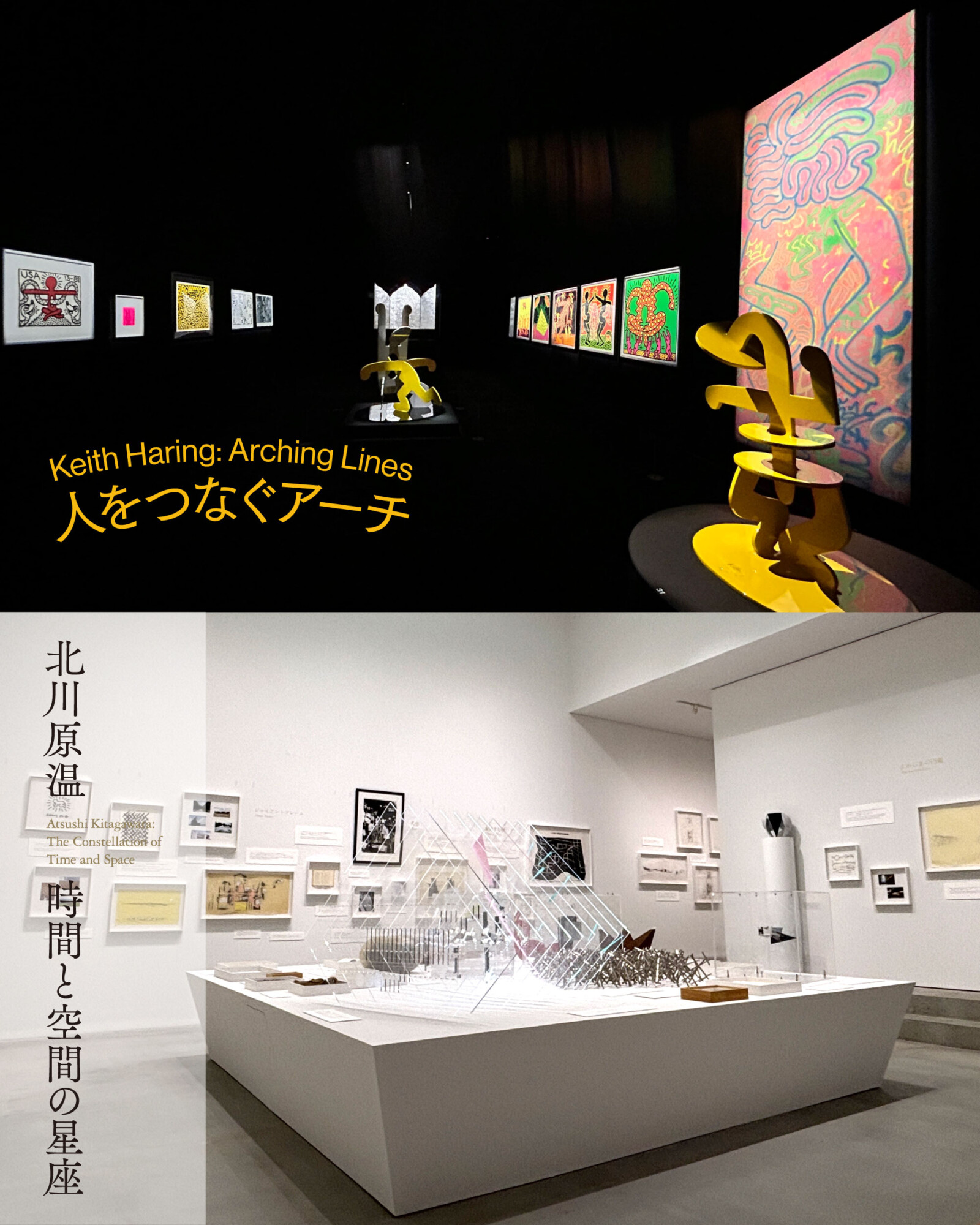 2025年度展覧会が開幕🎉 | NEWS | NAKAMURA KEITH HARING COLLECTION