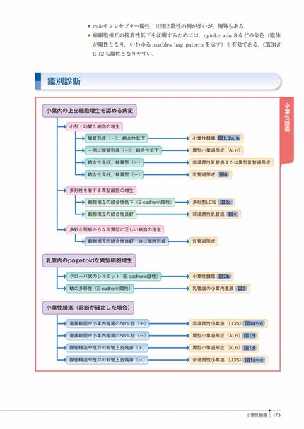 癌診療指針のための病理診断プラクティス | 株式会社中山書店