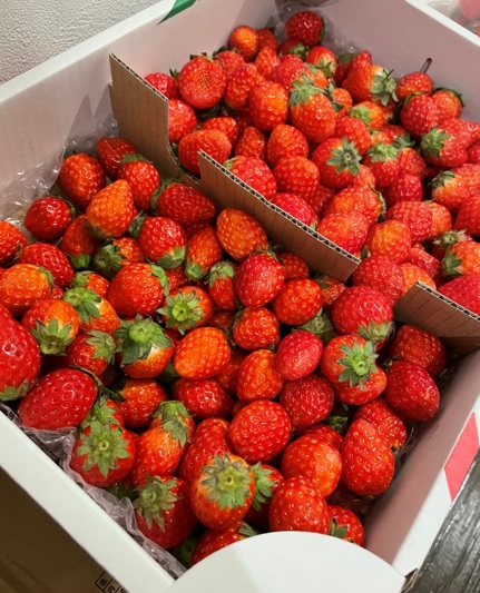 わたしのかわいいいちごちゃん｜スタッフブログ｜札幌の不動産会社