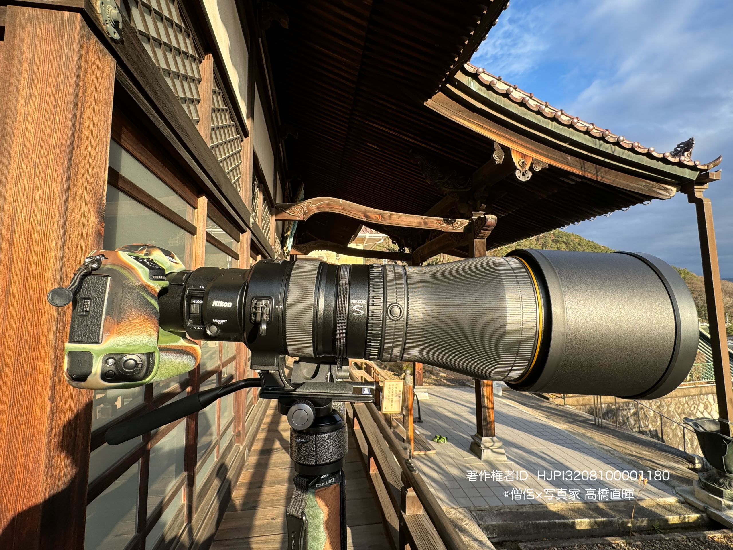 超望遠単焦点枠をNIKKOR Z 600mm f/4 TC VR Sに乗り換えることになり