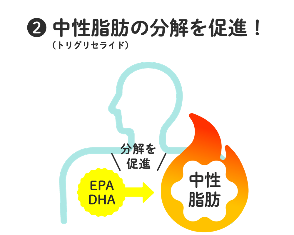 ナリスで見つかる私の健康シリーズ「DHA&EPA」 | NARIS ONLINE STORE