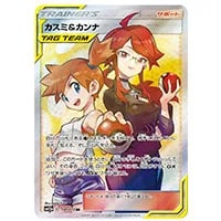 かんこうきゃく SR [タッグオールスターズ] SM12a 192/173 買取