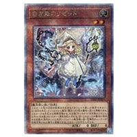 白き森のアステーリャ【INFO-JP013 QCSE】25th 買取 | 遊戯王OCG買取