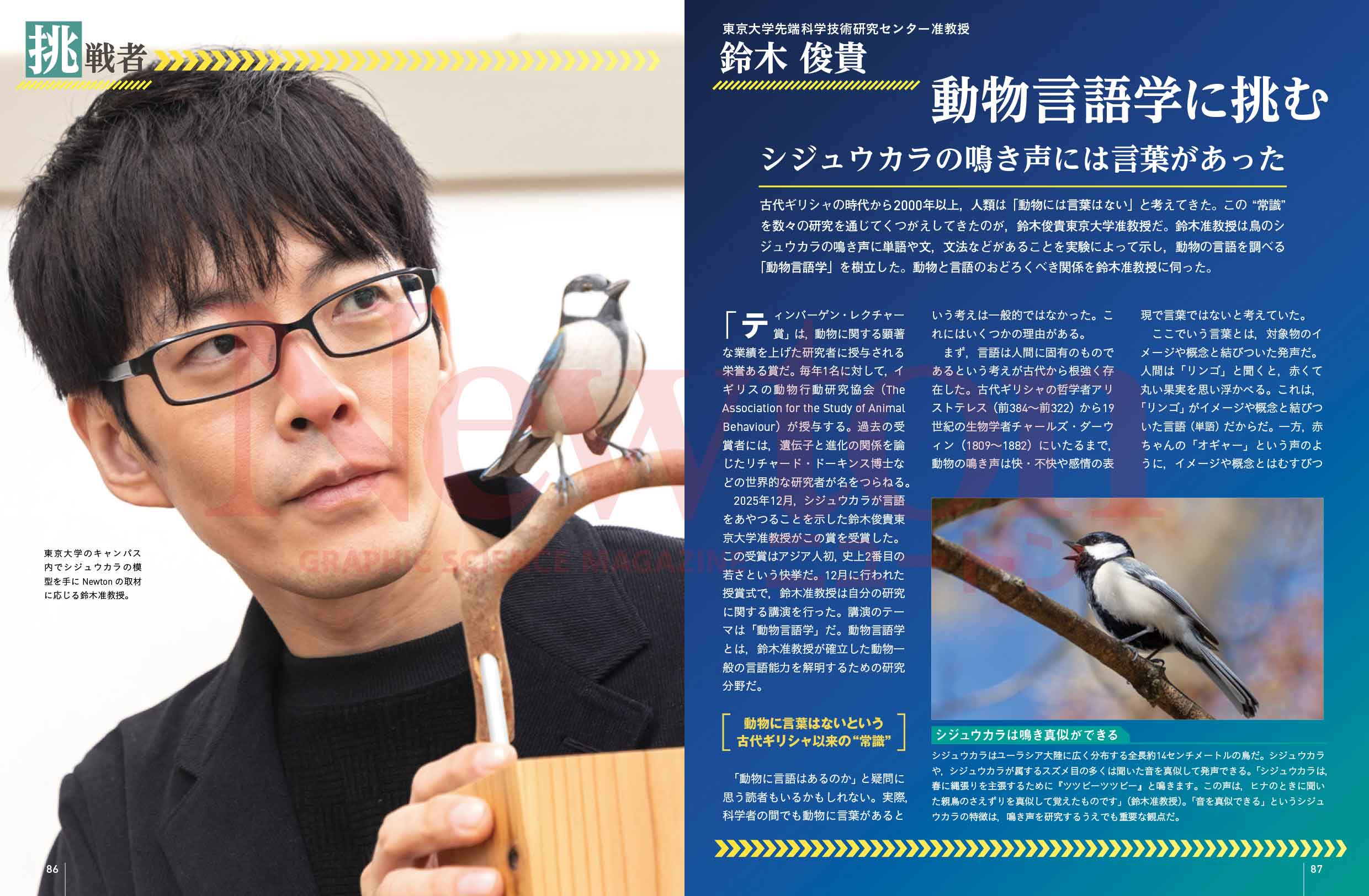 科学雑誌ニュートン最新号（2026年4月号）「脳の老化と認知症