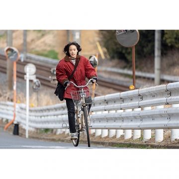 燕は戻ってこない DVD 全5枚｜国内ドラマ｜DVD