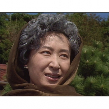 大河ドラマ いのち 完全版 第弐集 DVD全6枚
