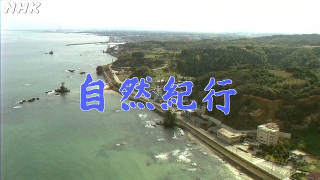 15分でにっぽん百名山｜番組｜NHKアーカイブス