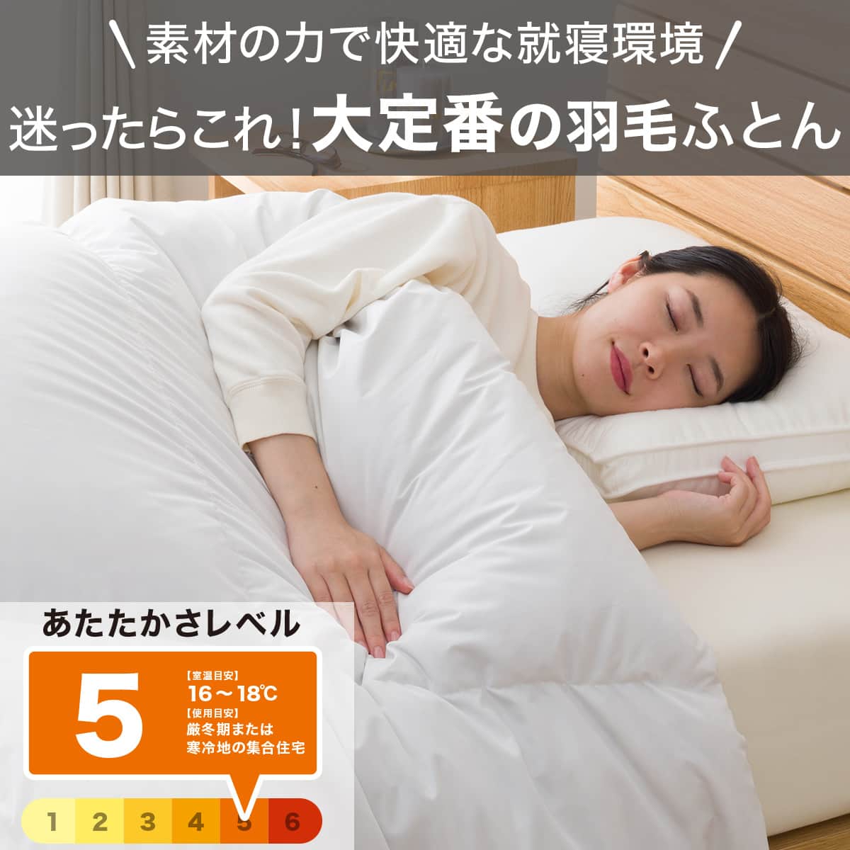 羽毛掛ふとん スタンダード シングル(UL K2521 S) | ニトリネット