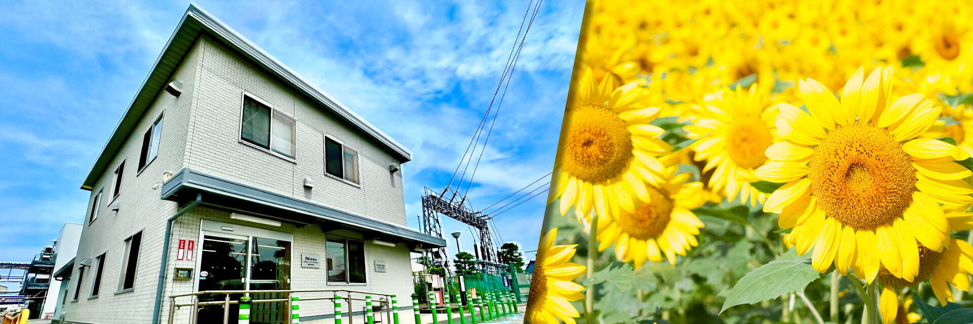 日東ひまわり関東株式会社