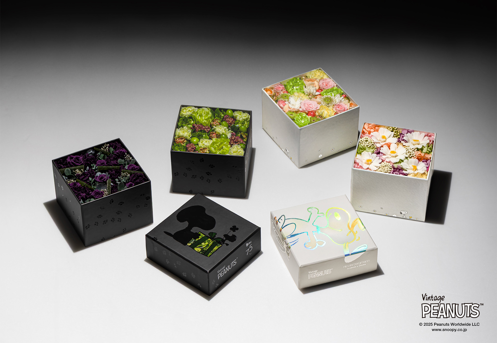 フラワーボックス誕生25周年記念コラボレーション VOL.3: Nicolai