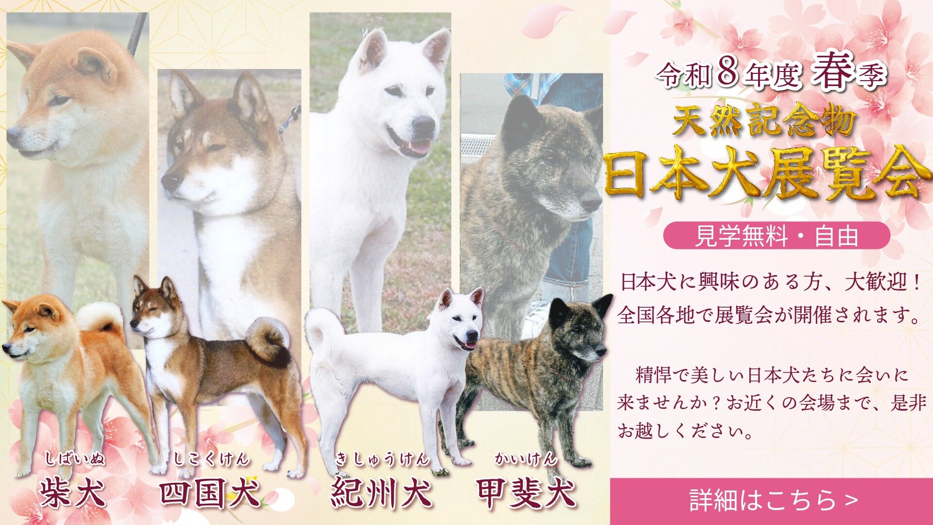 公益社団法人 日本犬保存会 – 日本犬保存会｜柴犬・紀州犬・四国犬