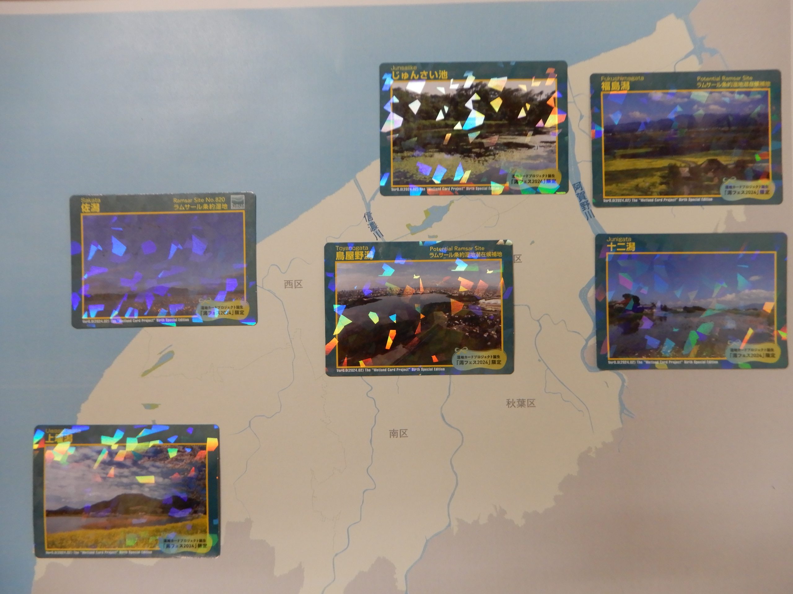 湿地カード（潟フェス2024限定版）完成しました！ ｜ 潟のデジタル