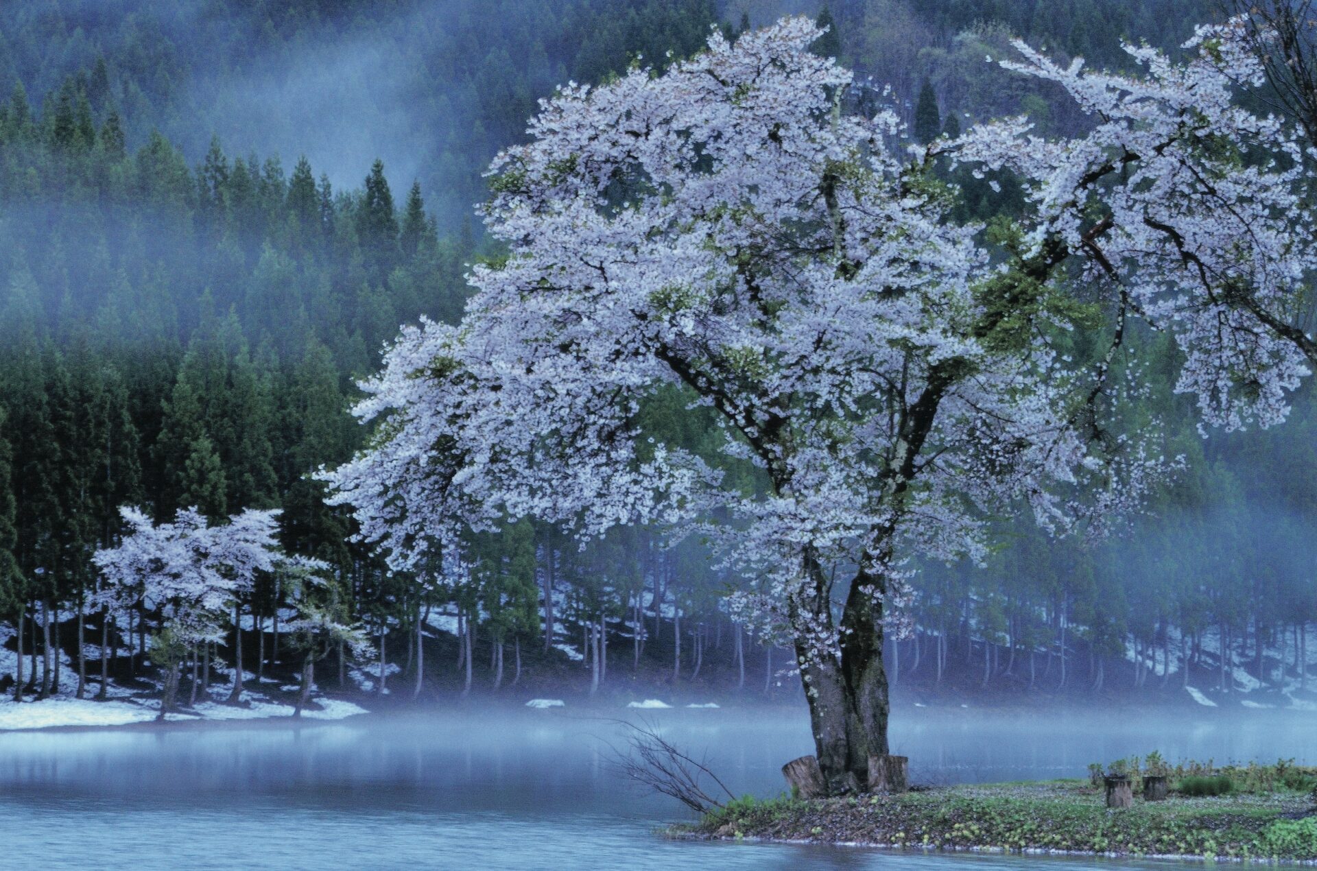 第73回二科会写真部展 – 一般社団法人二科会写真部