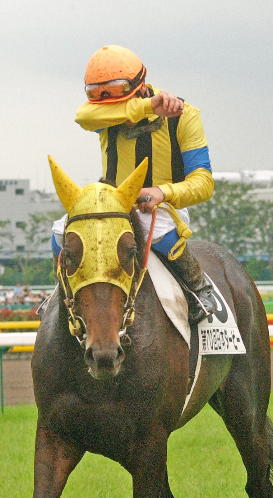 G1復刻】ネオユニヴァース2冠 ミルコ「言葉にならない」初の外国人