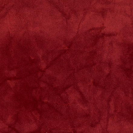 Y9529 | 株式会社ニップコーポレーション