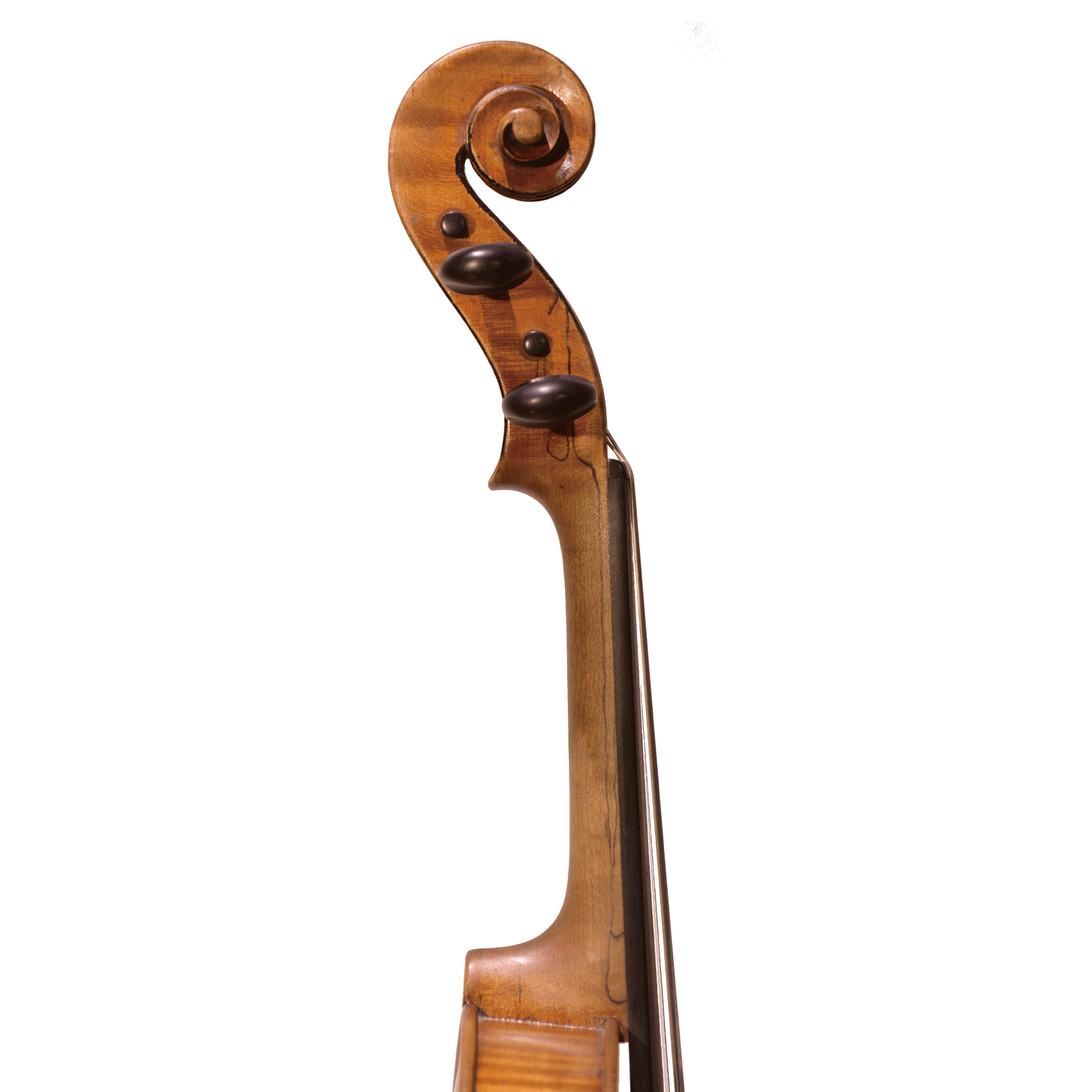 貴重なジュゼッペ・アントニオ・ロッカ1855-60年製のヴァイオリンをご
