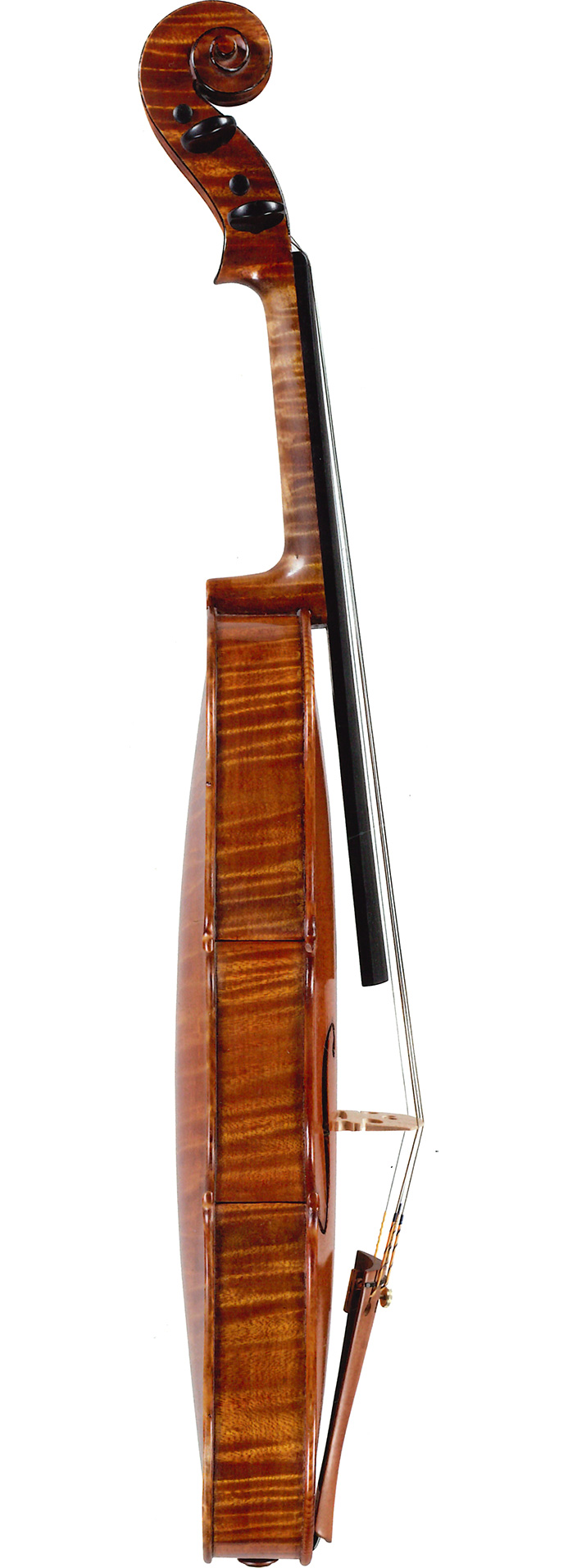 Giuseppe Antonio Rocca 1854 